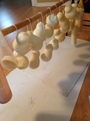 cheese drying / 2014-03-30 10.11.33.jpg 2014-03-30 10.11.33.jpg