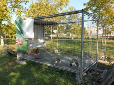 DSCN3189 (Medium).JPG (167.71 KiB) Osservato 3864 volte DSCN3189 (Medium).JPG