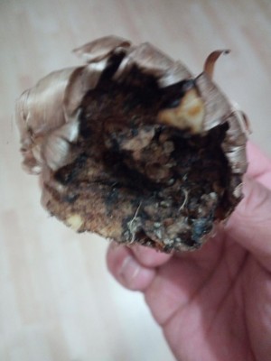 IMG_20180630_132344.jpg (52.8 KiB) Osservato 1082 volte IMG_20180630_132344.jpg