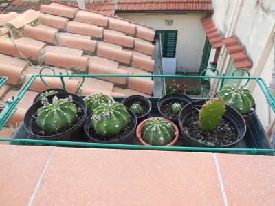 DSCN2705.JPG (120.14 KiB) Osservato 627 volte DSCN2705.JPG