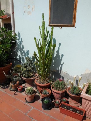 DSCN0011.JPG (114.06 KiB) Osservato 627 volte DSCN0011.JPG