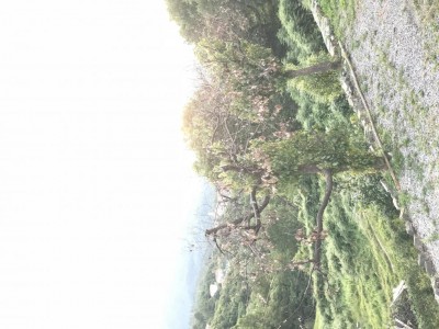 IMG_2770.JPG (129.96 KiB) Osservato 613 volte IMG_2770.JPG