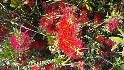 image-2edcfd7b-05ea-4383-b1a4-11fd80714c99955888106.jpg (168.21 KiB) Osservato 489 volte image-2edcfd7b-05ea-4383-b1a4-11fd80714c99955888106.jpg