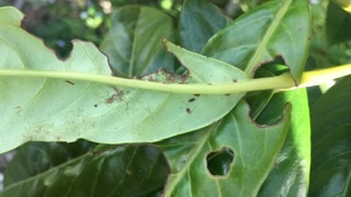 616BCFBA-8391-4D74-932F-1B483662E37D.jpeg 616BCFBA-8391-4D74-932F-1B483662E37D.jpeg