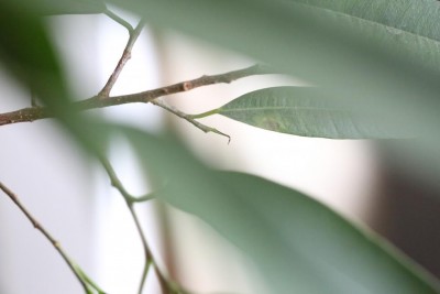 1Q9A6630.JPG (38.66 KiB) Osservato 512 volte 1Q9A6630.JPG