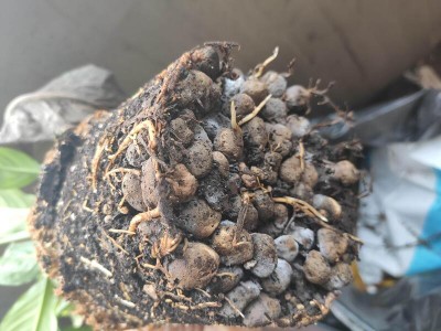 IMG_20200412_171421.jpg (75.76 KiB) Osservato 512 volte IMG_20200412_171421.jpg