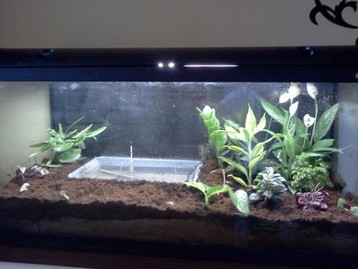 22222r.jpg (107.1 KiB) Osservato 853 volte 22222r.jpg