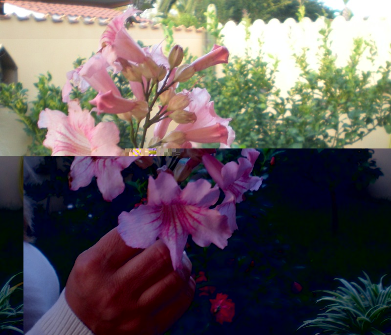 DSCN2037.JPG DSCN2037.JPG