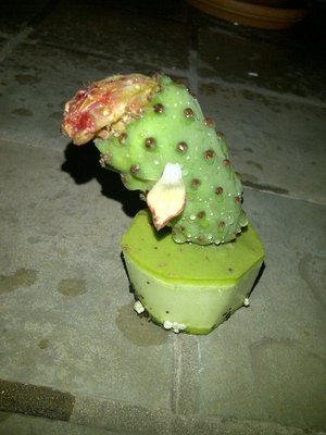 image.jpg (130.96 KiB) Osservato 831 volte image.jpg