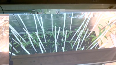 rsz_1wp_20151219_21_34_23_pro.jpg (116.4 KiB) Osservato 1645 volte rsz_1wp_20151219_21_34_23_pro.jpg