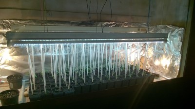 rsz_wp_20151219_21_34_05_pro.jpg (103.76 KiB) Osservato 1645 volte rsz_wp_20151219_21_34_05_pro.jpg