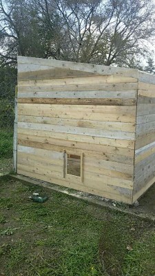 IMG_20151217_183648140.jpg (109.87 KiB) Osservato 29987 volte IMG_20151217_183648140.jpg