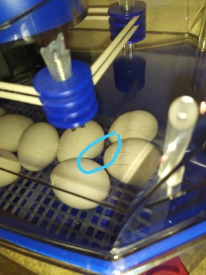 WhatsApp Image 2020-05-26 at 14.07.21.jpeg (69.21 KiB) Osservato 806 volte WhatsApp Image 2020-05-26 at 14.07.21.jpeg