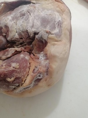 IMG_20210308_145454.jpg (61.26 KiB) Osservato 337 volte IMG_20210308_145454.jpg