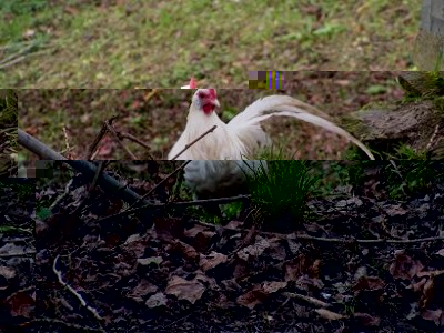 2.jpg (41.64 KiB) Osservato 1427 volte 2.jpg