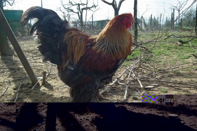 002.JPG (200.78 KiB) Osservato 891 volte 002.JPG