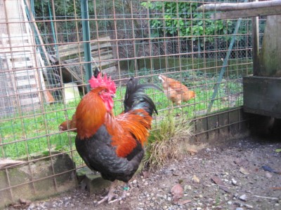 bs 2.jpg (183.88 KiB) Osservato 895 volte bs 2.jpg