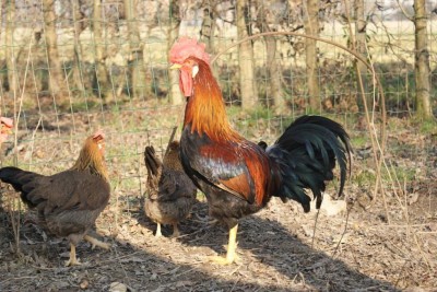 2011 / DSC01855_1024x685.JPG DSC01855_1024x685.JPG