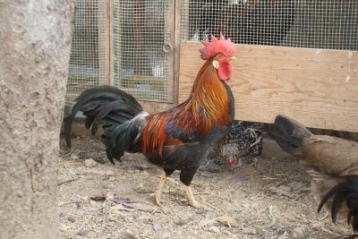 2012 / DSC05235_1024x685.JPG DSC05235_1024x685.JPG