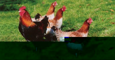 09.jpg (55.96 KiB) Osservato 951 volte 09.jpg