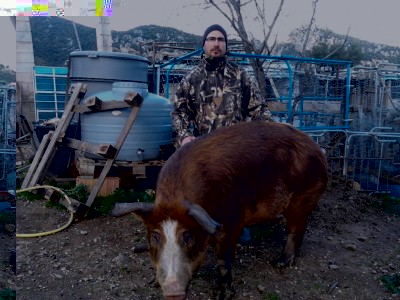 IMG-20170115-WA0019.jpg (142.16 KiB) Osservato 3469 volte IMG-20170115-WA0019.jpg