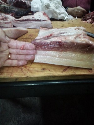 IMG_20161217_104523.jpg (70.53 KiB) Osservato 3469 volte IMG_20161217_104523.jpg