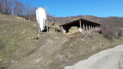 Particolare porcilaia realizzata in conformità con le più recenti normative relative agli allevamenti in regime di agricoltura biologica / 20170301_121309.jpg 20170301_121309.jpg