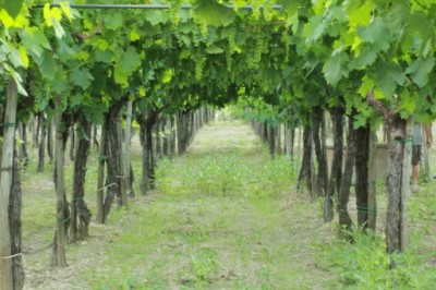 foto4.jpg (186.35 KiB) Osservato 1073 volte foto4.jpg