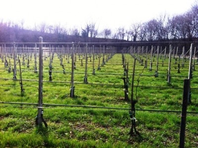 06.03.2012 030.jpg (101.91 KiB) Osservato 762 volte 06.03.2012 030.jpg