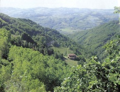 R_Loazzolo_1 copia.jpg R_Loazzolo_1 copia.jpg