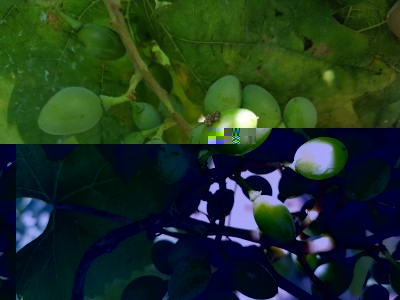 20170710_172409.jpg (77.13 KiB) Osservato 610 volte 20170710_172409.jpg