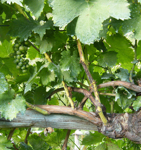 DSCF4422.JPG DSCF4422.JPG